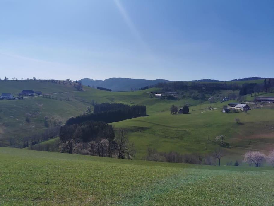 La Magie Entre Deux Lacs Gerardmer Exterior photo